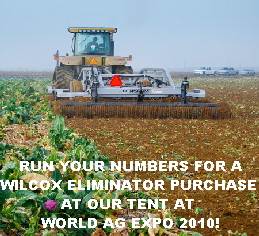 Eliminator---Cabbage