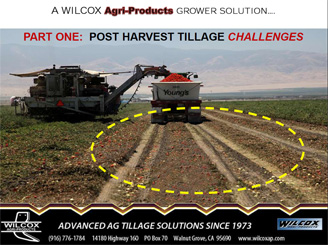Post-Tomatoe-Harvest-Challenges_pdf