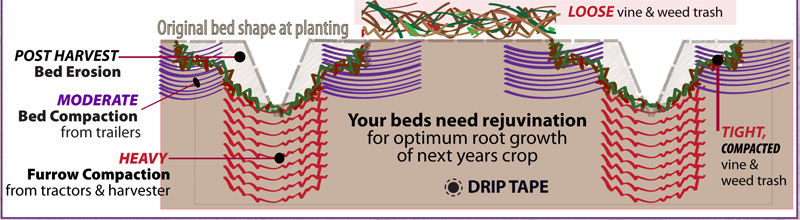 Post-Harvest-Challenge_01_03