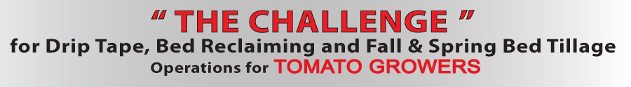 The-Challenge-Banner